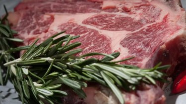 Clausuraron la carnicería que picaba y vendía carne de toro en Roca