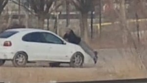 VIDEO: Arrastró varios metros con su auto a un manifestante en la Ruta 7 de Neuquén y se fugó