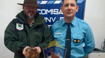 Imagen de Encontraron un animal en peligro de extinción en allanamientos en Centenario