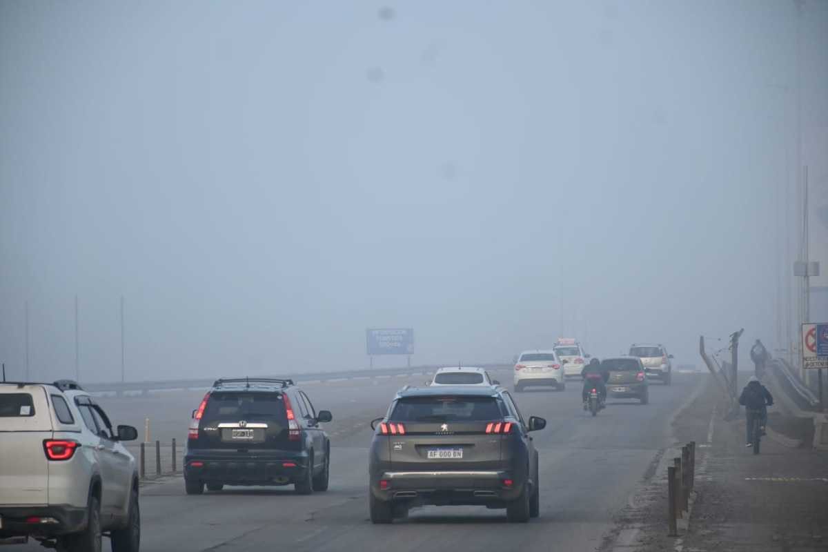 Alerta por bancos de niebla en Neuquén y Río Negro: advertencias de ...