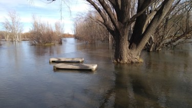 Las banquetas de cemento quedaron aisladas por el agua, en el predio municipal de Paso Córdoba, en Roca.