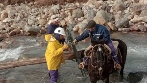 En caballos y sobre los ríos, así reparan el tendido eléctrico en el norte de Neuquén, tras la crecida