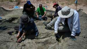 Hallaron fósiles de diez hipopótamos enanos en isla griega de Creta