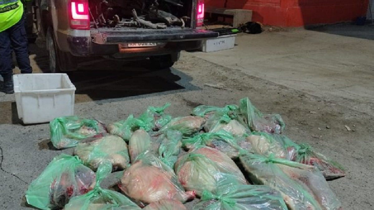 La policía de Río Negro realizar controles habituales en las rutas para evitar el ingreso de carne faenada de manera ilegal. foto: archivo.