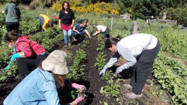 En Río Negro se trabaja desde la Universidad en apoyo a huertas comunitarias.
