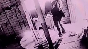 Video: robó en una casa y se llevó hasta el control remoto del televisor en un barrio de Cipolletti