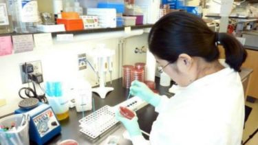 Recomendaciones luego de los casos fatales producidos por una bacteria