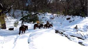 Esquí de fondo y cabalgatas en la nieve en un paraje rural cerca de Bariloche