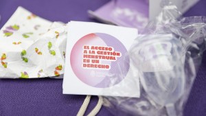 Se formalizó la creación de MenstruAR, el programa que entregará copas y toallitas