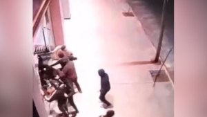 Robo piraña en Córdoba: se llevaron cuatro motos nuevas