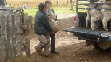 Peón rural cargó un tubo de 45 kilos y sufrió daños irreversibles: logró una condena en Roca