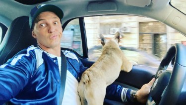 El perro de Pérez Algaba fue reconocido por su chip de identificación y, a su vez, la fiscalía citó a la novia de la víctima. Foto Archivo.