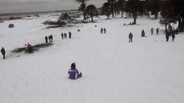 Aseguran que venden paquetes a Primeros Pinos cuando no está habilitado. Foto: Archivo.