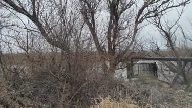 El cuerpo apareció a la altura de Cervantes, informaron. Foto: gentileza