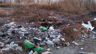 En plena zona rural de Roca, un importante basural. Foto: Alejandro Carnevale