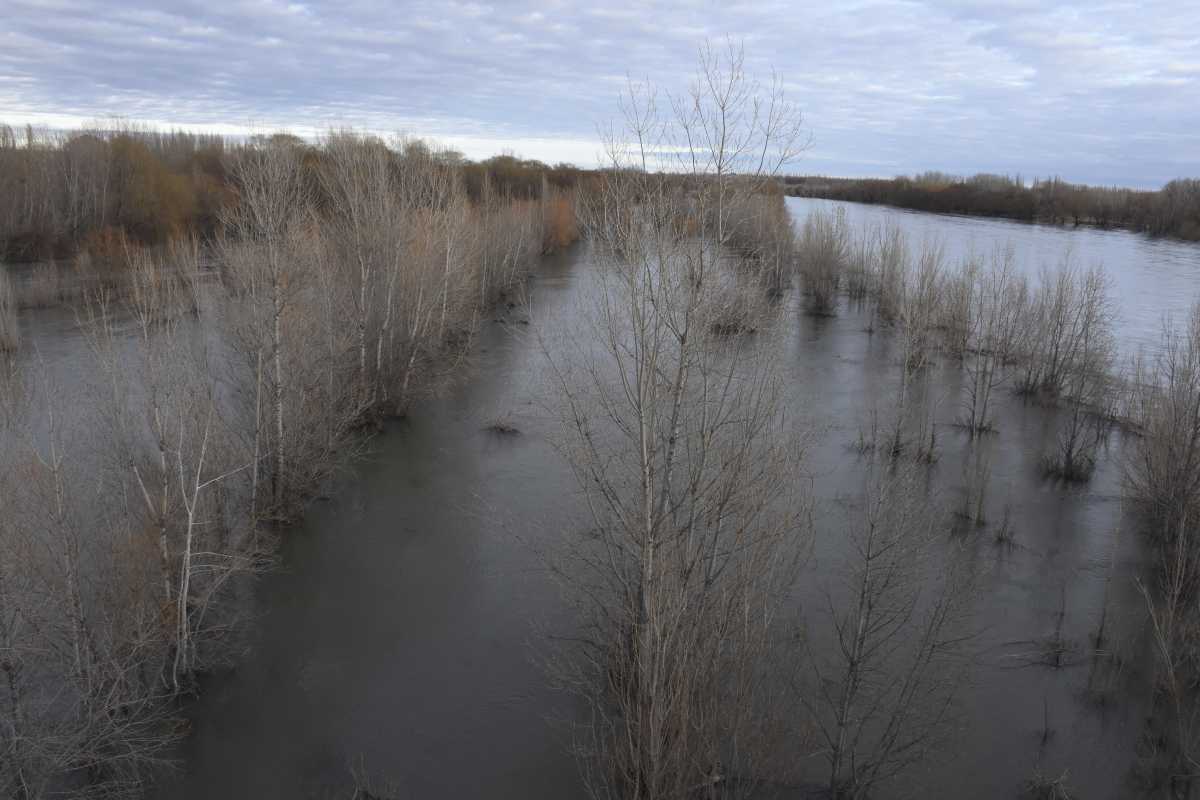 Así está el río Negro ante la crecida de su caudal. Foto: Alejandro Carnevale