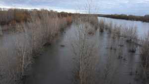 Crecida del río Negro: en Roca se triplicó el caudal y monitorean el agua