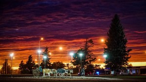 Zapala suma obras que mejoran el bienestar de sus vecinos