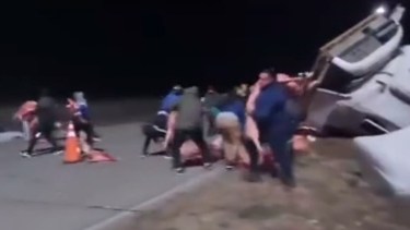 El momento en que decenas se personas se llevaron parte de la carne del camión volcado. 