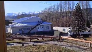 VIDEO: Insólito, talaban un árbol y cayó sobre una guardería en Aluminé