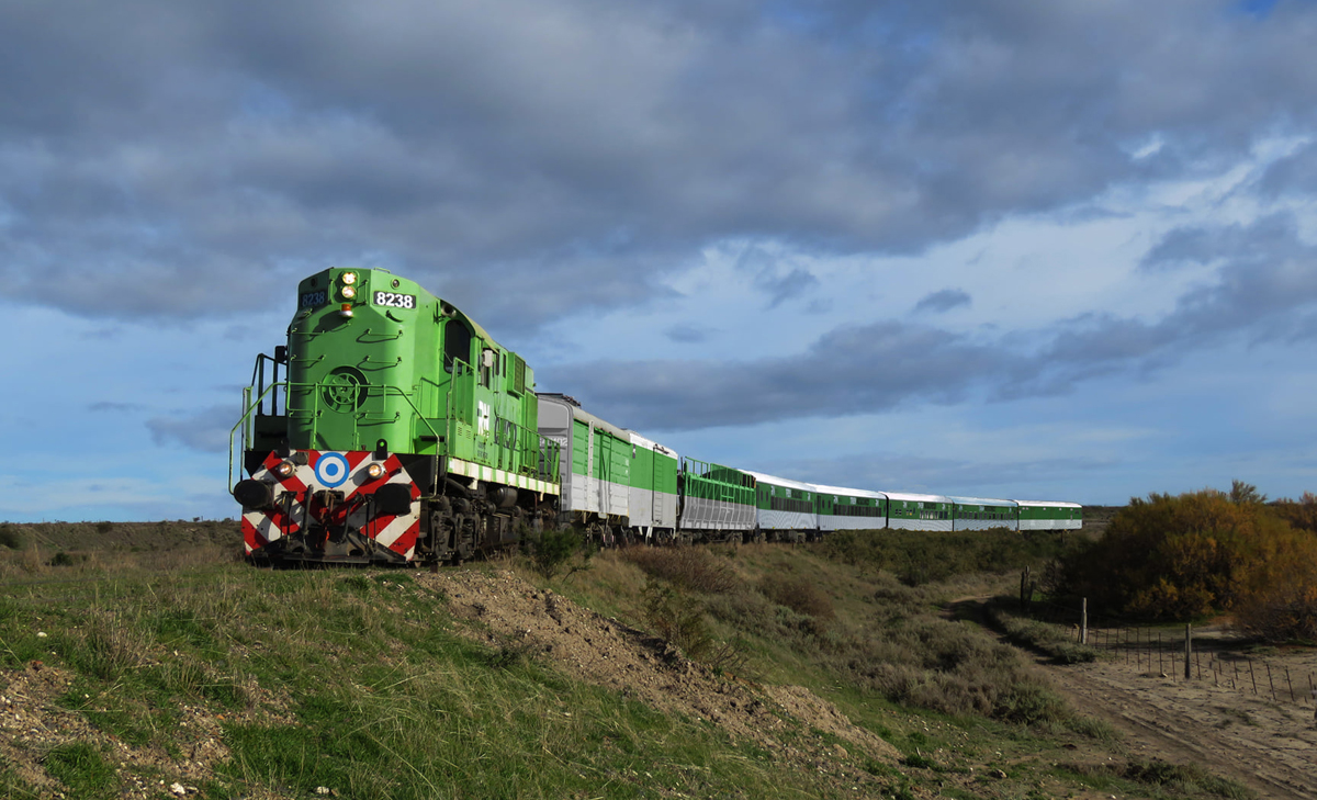 El Tren Patagónico dejará de correr hasta abril del próximo año. Foto: archivo.