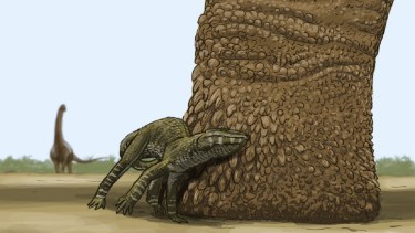 Pata de un tjpo de saurópodo junto a un pequeño cocodrilo del género Araripesuchus. Crédito: Joschua Knuppe.