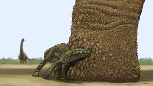 Inédito hallazgo en La Buitrera: descubren huellas de dinosaurios con marcas de piel y garras