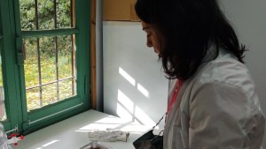 El bagazo, un desecho cervecero, se podrá usar en alimentos