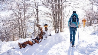 El Bolsón y los cinco motivos para ir en agosto a conocer la nieve