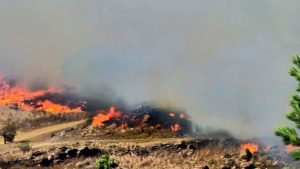 Viviendas incendiadas y evacuados: alerta por incendios forestales en Córdoba