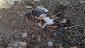 Preocupa la acumulación de residuos domiciliarios en el parque central de Fernández Oro