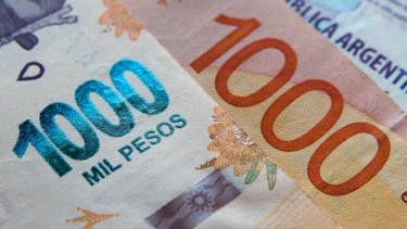 Cómo continúa el cronograma de pagos de Anses. 