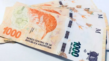 Anses: de cuánto será el aumento para jubilados y pensionados en septiembre