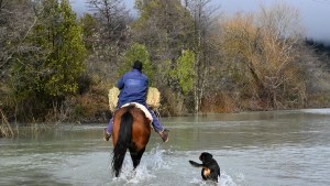 Video: el relato de los vecinos de El Manso que llevan días aislados por el desborde del río Foyel