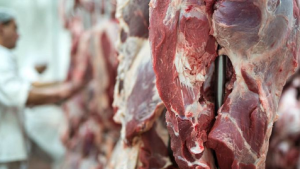 AFIP: qué cortes de carne entran en el reintegro del 10% que promueve el organismo