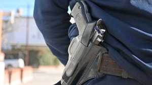 «A mayor presencia de armas, mayor probabilidades de muertes», advirtió Prueger por la idea de Milei