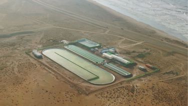 Crédito: Piletas de algas Brillant Planet.
