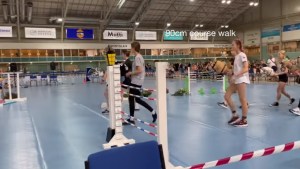 Equitación vegana: el extraño deporte con caballos de juguete que explota en redes