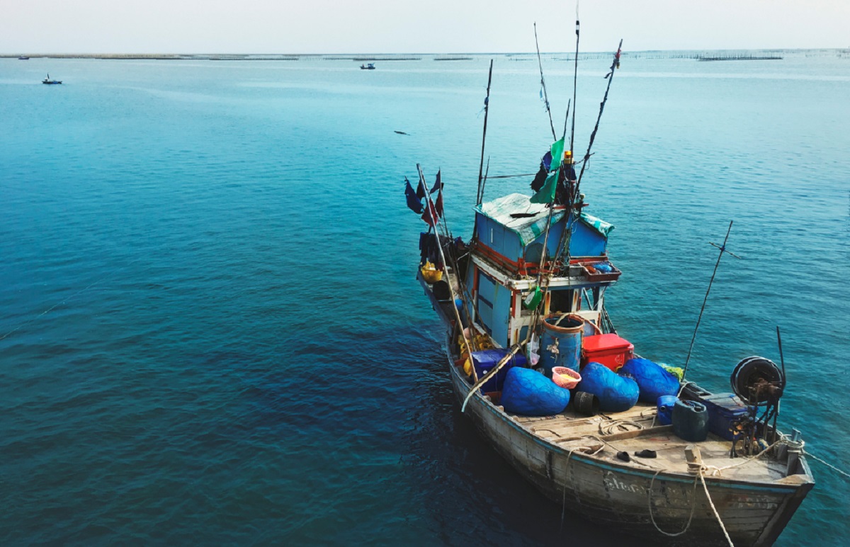 Naciones Unidas asegura que 1 de cada 5 peces capturados proviene de la pesca ilegal o no regulada