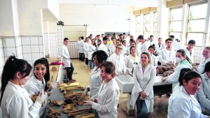 En defensa de la Universidad Pública