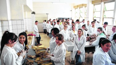 En defensa de la Universidad Pública