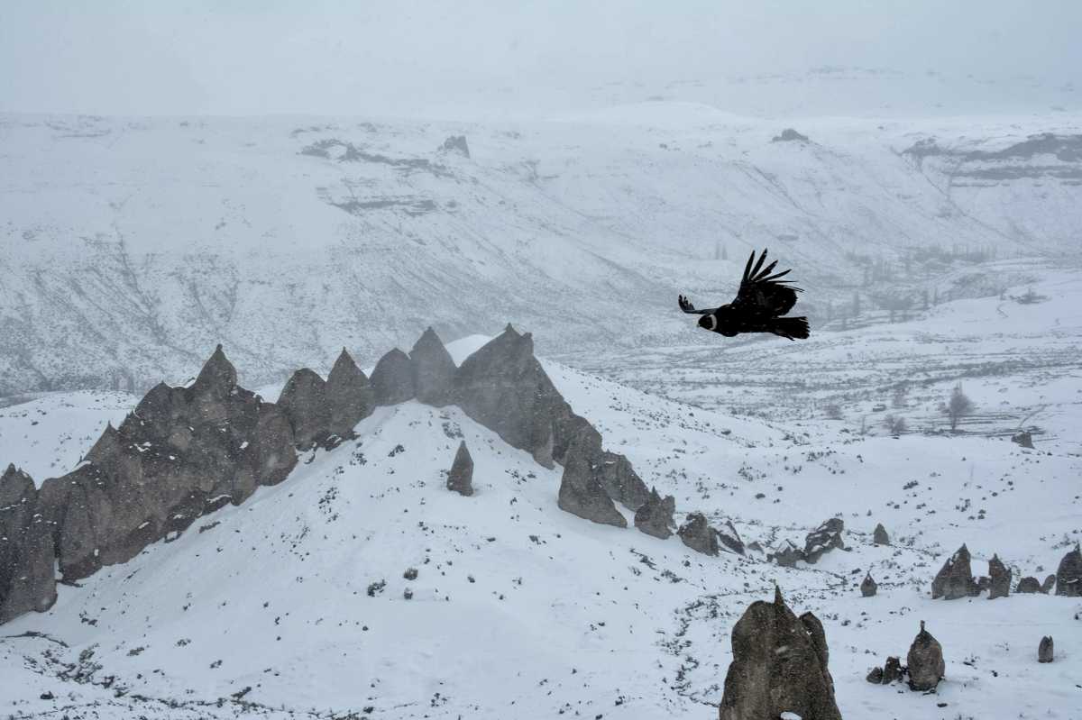 Así están Los Bolillos tras las nevadas. El vuelo del cóndor los vuelve aún más espectaculares. Fotos: Martín Muñoz