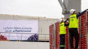 Un puerto de Chile ofrece sus servicios para que Neuquén pueda exportar por el Pacífico