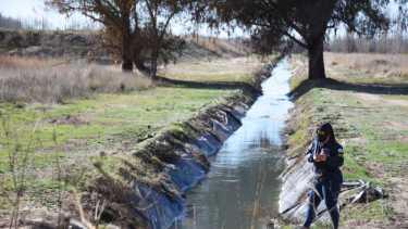Video: por contaminación en el río Negro, la Policía Federal allanó plantas cloacales de Roca y Allen
