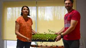 El arte de producir alimentos en espacios reducidos