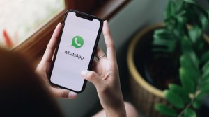 WhatsApp tiene la clave para renovar el celular y es muy fácil de activar