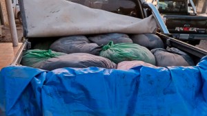 Decomisaron más de 1000 kilos de carne en Choele Choel que viajaban a Cipolletti