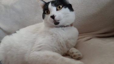 La familia pide ayuda para encontrarla. Foto: Gentileza.