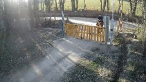 Robaron a caballo a vecinos en un barrio de Cipolletti: «Estamos hartos»