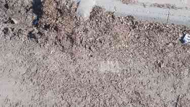 Según los vecinos hace ya un año la municipalidad no limpia las calles. Foto: Gentileza.